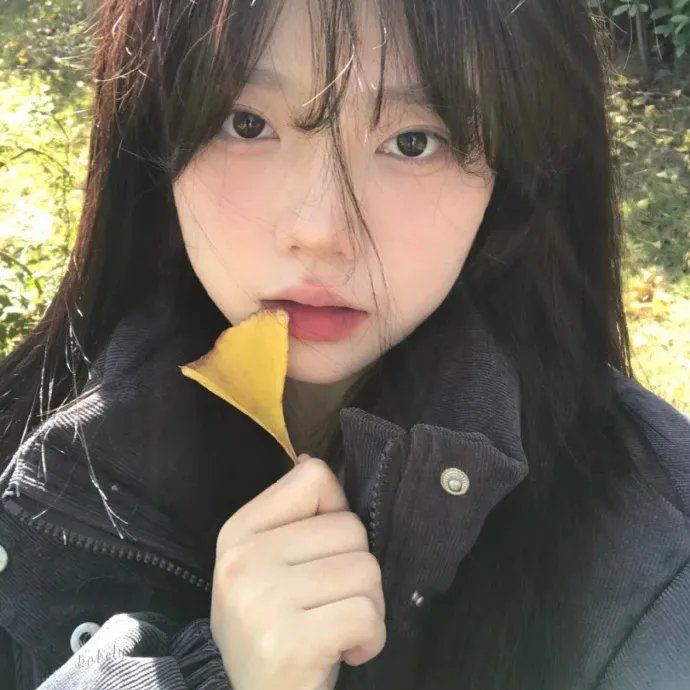 波兰爱经 海报