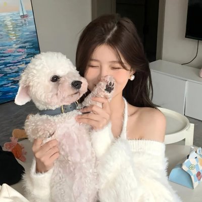 爱之地 海报